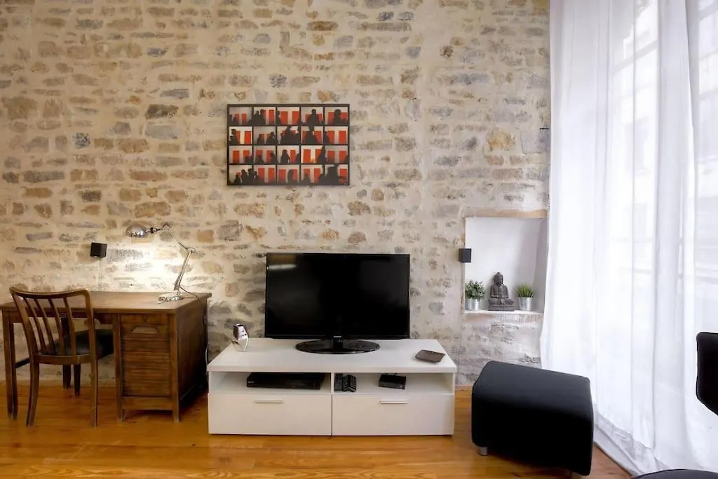 Apartment Bel Appartement Spacieux, Climatise - Lyon Centre France